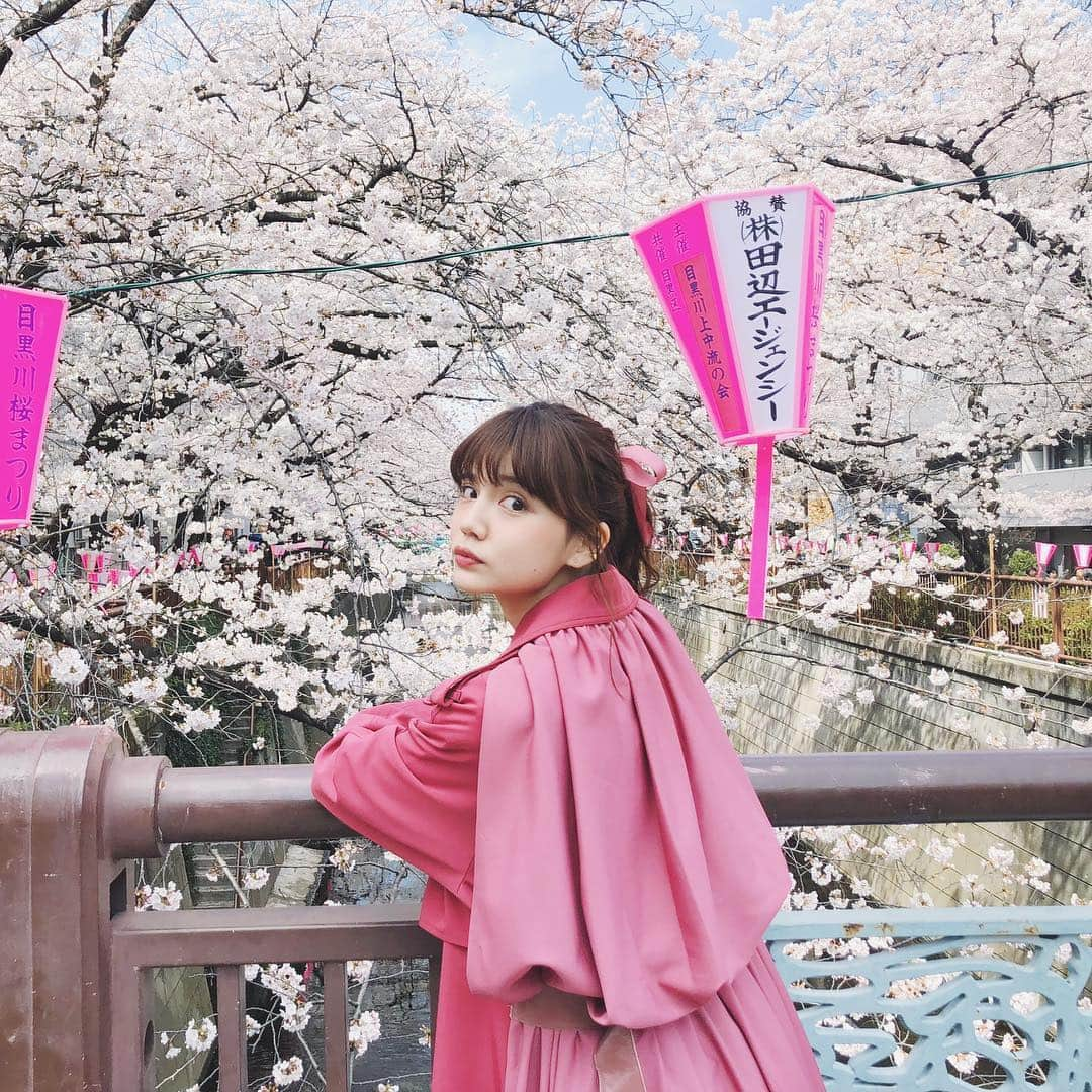 村田倫子さんのインスタグラム写真 - (村田倫子Instagram)「桜。 みなさまお花見しましたか？ 私は今日、むぎ🐕とお散歩して少し桜見てきました。 写真は去年の中目黒。 この日は満開だったなあ🌸 . 東京マラソンにはじまり、色々と地方に赴いたり、TGCを歩かせていただいたり 駆け抜けた３月だったなあ、、、 (あっとゆーますぎる) . 平成があと少しでおわってしまうのは、寂しいけれど いつもより新しい変化と予感に満ちてる春も たのしみです☺︎ とりあえず美味しいもの食べたい。笑」3月31日 21時16分 - rinco1023