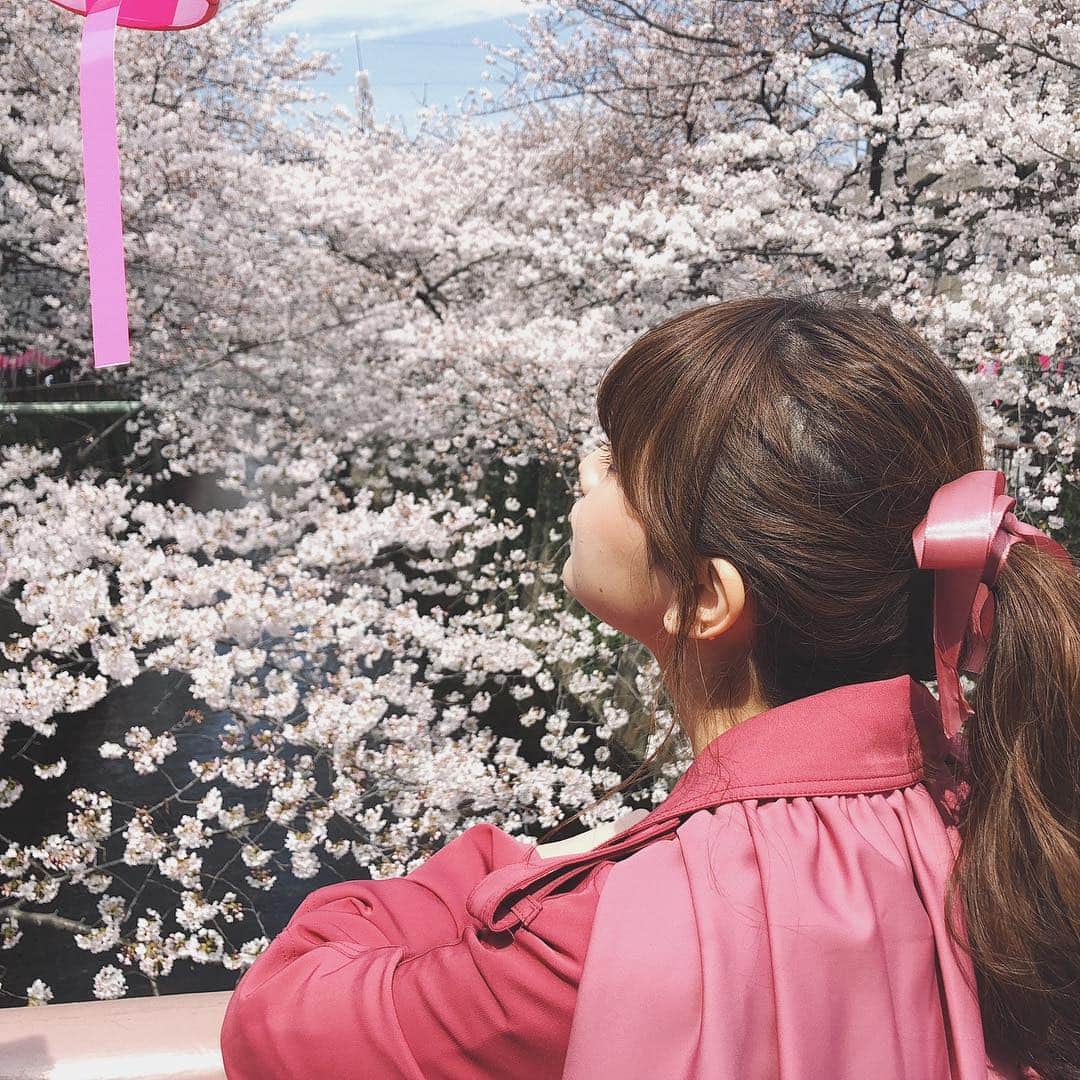 村田倫子さんのインスタグラム写真 - (村田倫子Instagram)「桜。 みなさまお花見しましたか？ 私は今日、むぎ🐕とお散歩して少し桜見てきました。 写真は去年の中目黒。 この日は満開だったなあ🌸 . 東京マラソンにはじまり、色々と地方に赴いたり、TGCを歩かせていただいたり 駆け抜けた３月だったなあ、、、 (あっとゆーますぎる) . 平成があと少しでおわってしまうのは、寂しいけれど いつもより新しい変化と予感に満ちてる春も たのしみです☺︎ とりあえず美味しいもの食べたい。笑」3月31日 21時16分 - rinco1023
