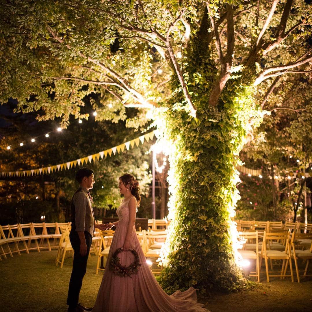 The Sally Garden（ザ サリィガーデン）のグルメインスタ