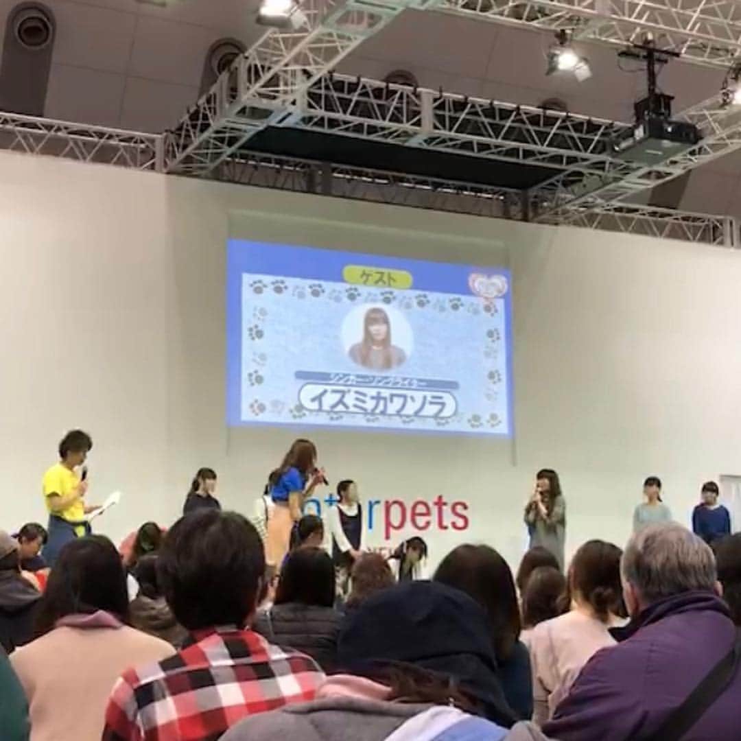 イズミカワソラのインスタグラム：「今年も、インターペットで行われた「ペットメディアプロジェクト  ファッションショー」の最後に、ペットメディアプロジェクトのテーマ曲を歌ってきました！ ・ ・ 毎年呼んでいただいて嬉しいです！ ・ ・ このショーがきっかけとなり新しい家族が見つかったワンコもかなりいたりして、そんな夢のあるプロジェクトに携わることができ嬉しいです！ ・ ・ また来年も？！よろしくお願いします！」