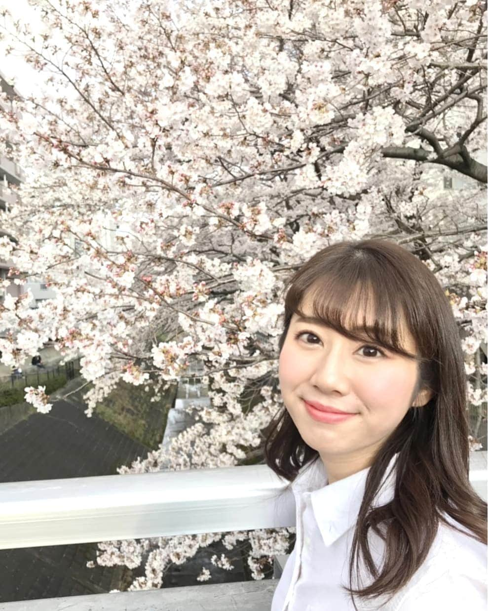 壽老麻衣さんのインスタグラム写真 - (壽老麻衣Instagram)「お花見🌸綺麗な桜に癒されて、幸せな週末でした☺️ あす、新しい元号が発表されることに伴い、TBS NEWSでは特番をお送りします。 私は朝ニュースを終えた後に特番中継へ！ 国にとっての歴史的なニュースをお伝えできるなんて、アナウンサー冥利に尽きます🎤 わくわく☺️ ぜひご覧ください🍀 📺 📺 📺  #TBS #ニュース #news #特番 #アナウンサー #newsanchor #新元号 #赤坂 #東京 #tokyo #お花見🌸 #お花見日和 #桜🌸 #桜満開 #cherryblossom #ピンク #pink #綺麗 #満開 #見頃 #週末 #お出かけ #写真 #picture #写真好き」3月31日 21時39分 - maijuro