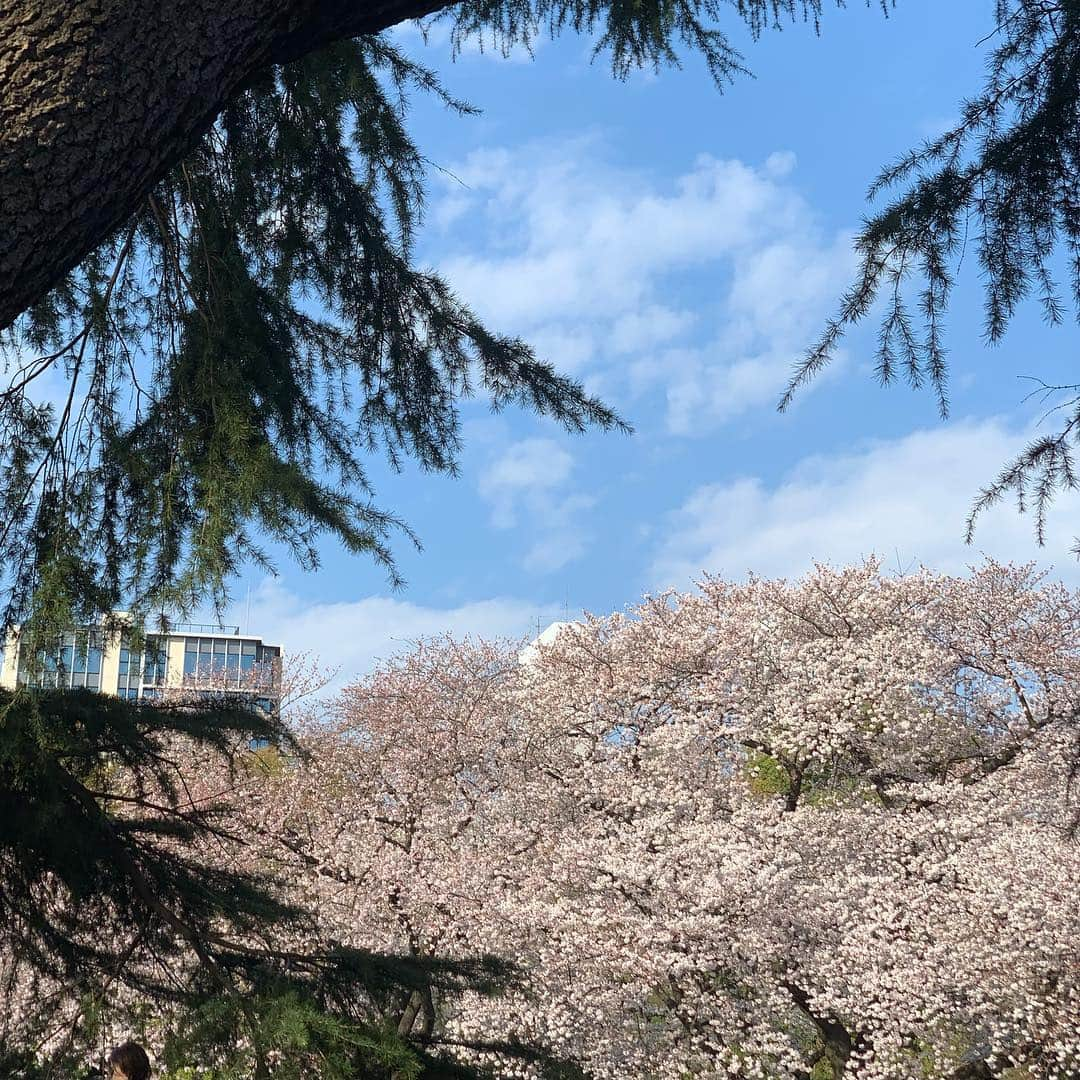 亜里沙さんのインスタグラム写真 - (亜里沙Instagram)「幸せな景色🌸 #あげなおしました」3月31日 21時56分 - alisa_0302