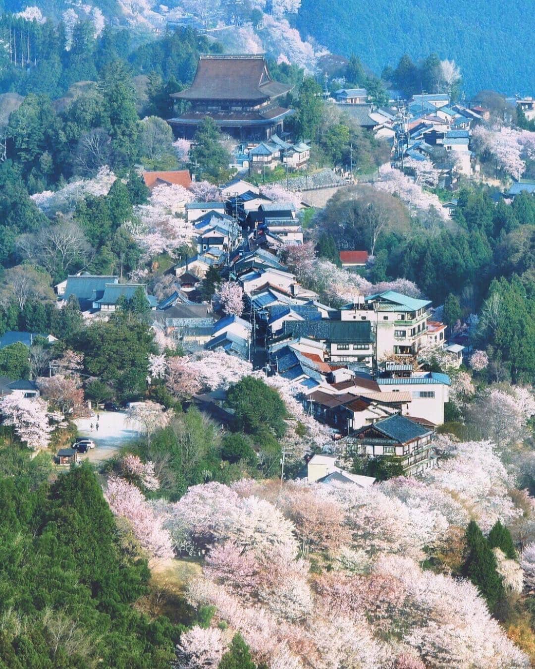 Koichiのインスタグラム：「. . Heavenly town . . 🌸Full bloom forecast of Yoshinoyama 下千本 Shimosenbon April 6 中千本 Nakasenbon April 8 上千本 Kamisenbon April 10 奥千本 Okusenbon April 15 . 📍#吉野山 #Yoshinoyama #奈良 #Nara .」