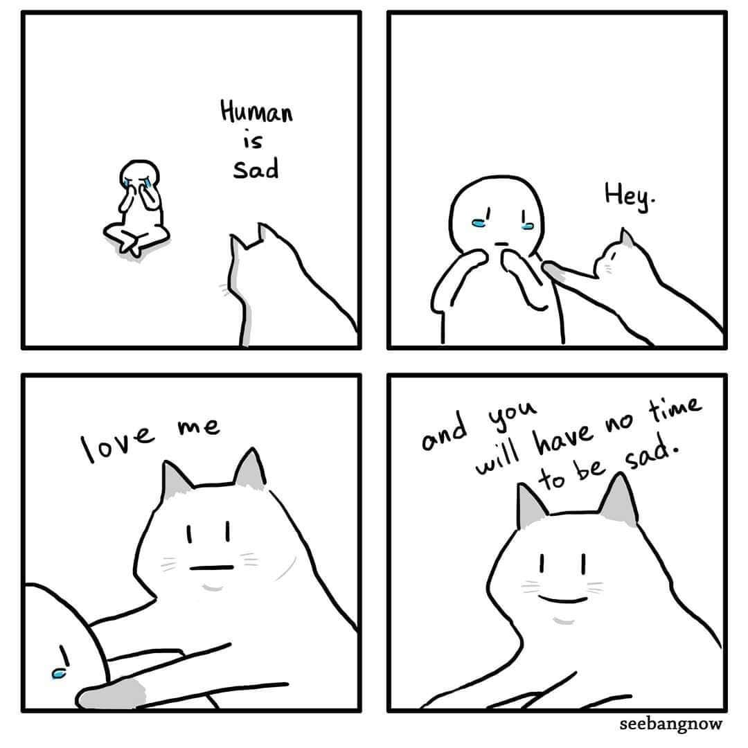 のインスタグラム：「No Time to be sad⠀ ⠀ ✍🏼@xibang⠀ ⠀ Submit us your meowdorable artwork and comics by tagging #9gagmeowdle to get featured on @meowed, @doodles or even @9gag. For March, we will share a bunch of cat arts with you all hoomans! ⠀ ⠀ #meowed #doodle #9gagmeowdle #xibang #catcomic #meowedcomic #catlife」