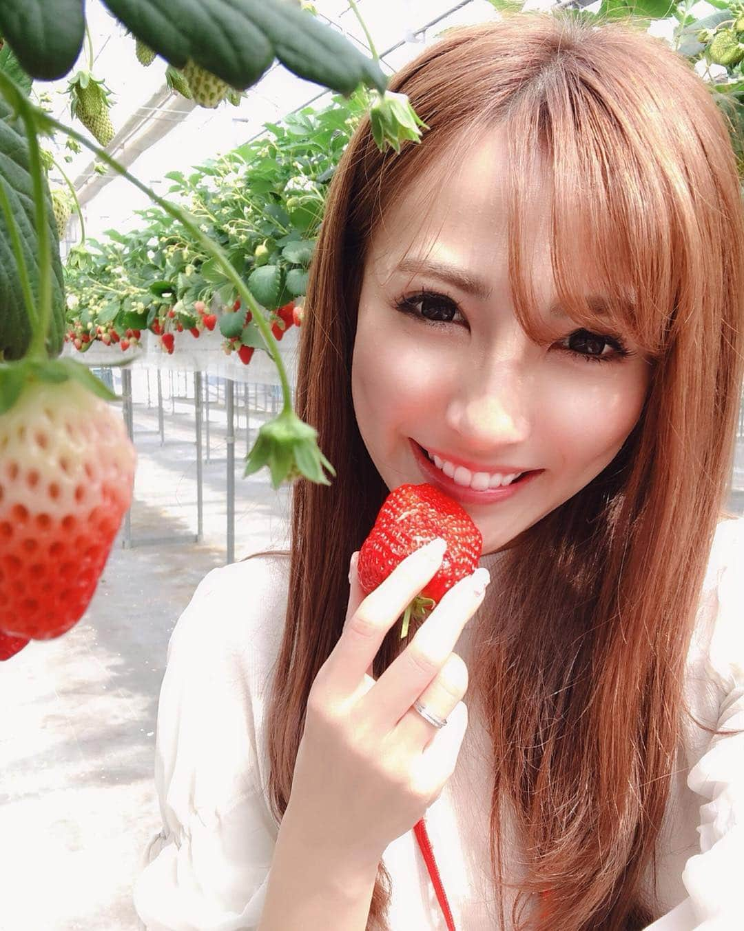 寿リリカさんのインスタグラム写真 - (寿リリカInstagram)「♡ おっきないちごちゃん🍓🍓🍓 ♡ 最近まわりのモデルちゃん達のあいだで話題の @miror_jp 🔮わたしはオーラ診断をしてもらったよ💓 ♡ 診断結果は純粋で単純な子みたいです🤣た、たしかに単純🤣 ♡ 他にもたくさんの診断メニューがあって、相談事がある場合はそれに対して答えてもらえたり質問もできるみたいだよ💓 ♡ おうちで気軽にチャットでやり取りできて、プロの本格鑑定が500円から✨なんかおもしろいからほかにも試してみるー💓 ♡ #PR #miror #インターネット占い館miror」3月31日 22時01分 - ririkakotobuki