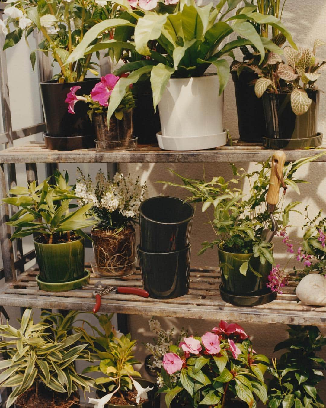 ARKETさんのインスタグラム写真 - (ARKETInstagram)「Discover ARKET’s collection of flower pots and gardening tools: link in bio. - #ARKET」3月31日 22時20分 - arketofficial