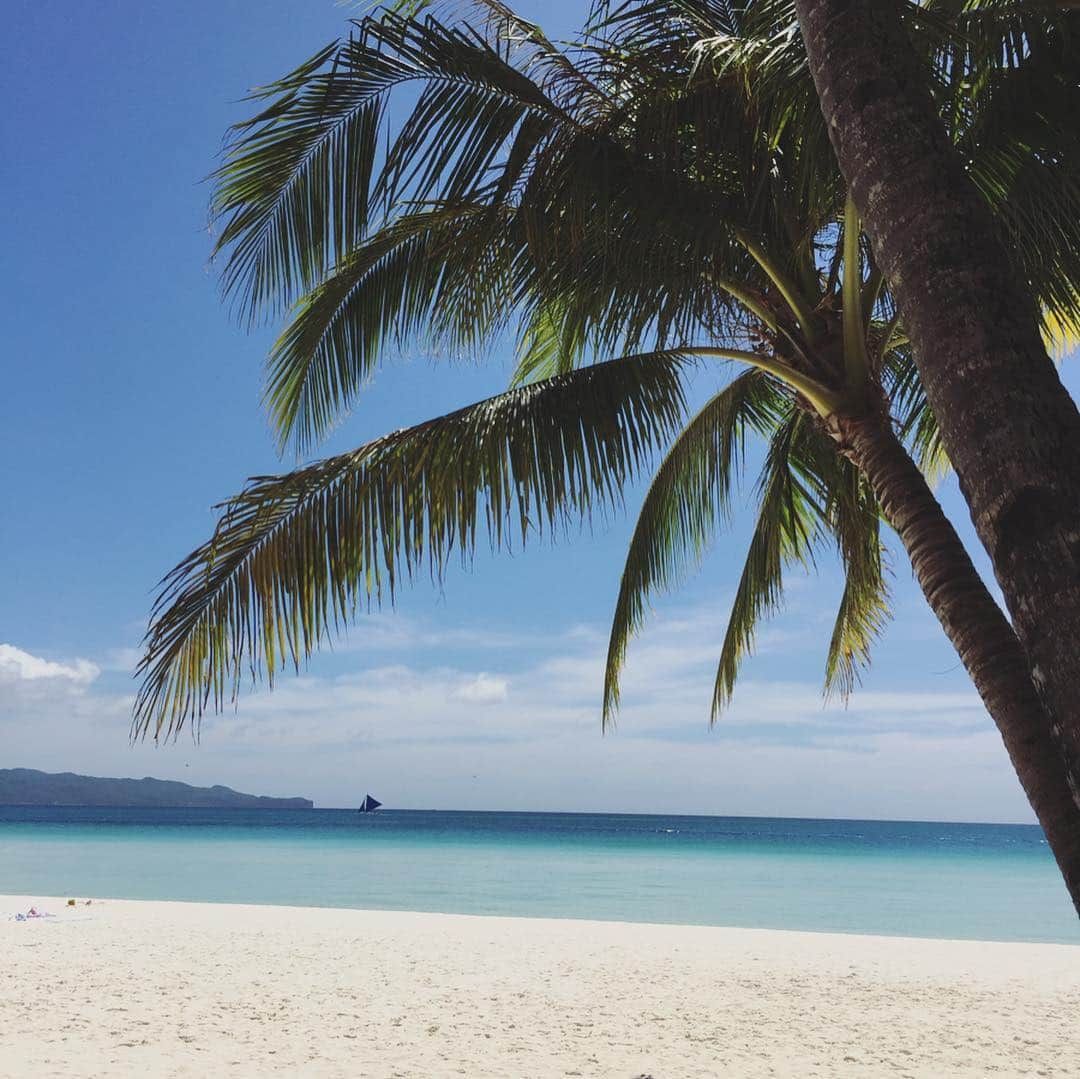 石井あみさんのインスタグラム写真 - (石井あみInstagram)「❂Boracay Island❂﻿ ﻿ 2泊3日でボラカイ島へ。﻿ セブ島からは50分のフライト。﻿ ﻿ CrimsonResort&Spa Boracayにステイ。﻿ うっとりするホテル。﻿ station zeroというエリアは、﻿ 最も綺麗と言われるエリアで、プライベートビーチオンリー。﻿ インフィニティプールに、白い砂浜と海🏖﻿ ﻿ んもう最高！﻿ サラサラの砂浜で、﻿ マクタン島では海に入りたがらなかったムスメも﻿ パシャパシャ入ってました。﻿ ﻿ ﻿ セブの喧騒から離れて、﻿ とにかく贅沢な時間…﻿ ﻿ 帰りたくなかったぁー。﻿ また是非是非行きたい大好きな場所になりました。﻿ ﻿ ただ…﻿ ローカルとギリギリ隣り合わせのため、﻿ 夜中の3時から鶏の鳴き声と犬の鳴き声が激しめだった！💦﻿ ﻿ ゆっくり寝たい方は、お部屋を換えてもらいましょう。  #boracay#philippines #crimsonresortandspaboracay #ボラカイ島﻿#resort#フィリピン ﻿ ﻿ ﻿」3月31日 22時21分 - ami_cebuyolo