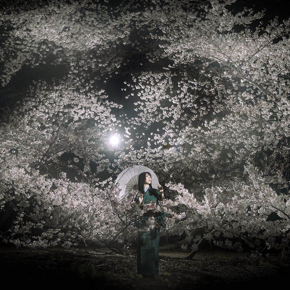 街子さんのインスタグラム写真 - (街子Instagram)「#桜⁠ ⁠ #夜桜⁠ ⁠」3月31日 22時34分 - machiko801