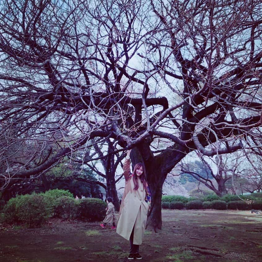 KOKIAさんのインスタグラム写真 - (KOKIAInstagram)「If I were a tree, I wish I could let you rest underneath me. And let me sing something nice. #tokyo #japan #japon #kokia #photography #歌手 #コキア #insta #art #beautiful #picoftheday #follow #女性 #ソングライター #photooftheday #woman #jmusic #ボーカリスト #singer #songwriter #jpop #vocalist #voice #声 #ライブ #live #綺麗 #日本 #さくら」3月31日 22時30分 - kokia_musician