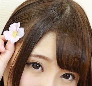 のインスタグラム：「🌷ஐ೨🌸🐝🌸ஐ೨🌷🌷ஐ೨🌸🐝🌸ஐ೨🌷🌷ஐ೨🌸🐝🌸ஐ೨🌷🌷ஐ೨🌸🐝🌸ஐ೨🌷」
