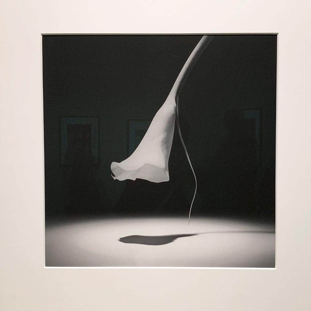 のインスタグラム：「そして目的の﻿ ROBERT MAPPLETHORPE ﻿ 「Implicit Tensions: Mapplethorpe Now」﻿ 〝it's just the way i see things. ﻿ Whether I see a body or flower, it's my eye〟﻿ -Mapplethorpe﻿ ﻿ 代表的な作品の中でもセルフポートレートや影響を多大に受けた人物のポートレート、花、など充実のラインナップ。圧倒的美意識と見るたび感動するプリントの美しさ、全てモノクロだった今回の回顧展、メイプルソープを一通り楽しめる展示でした。 #私の写真備忘録 ﻿ #ROBERTMAPPLETHORPE  #blackandwhite #nyc #photography #art」