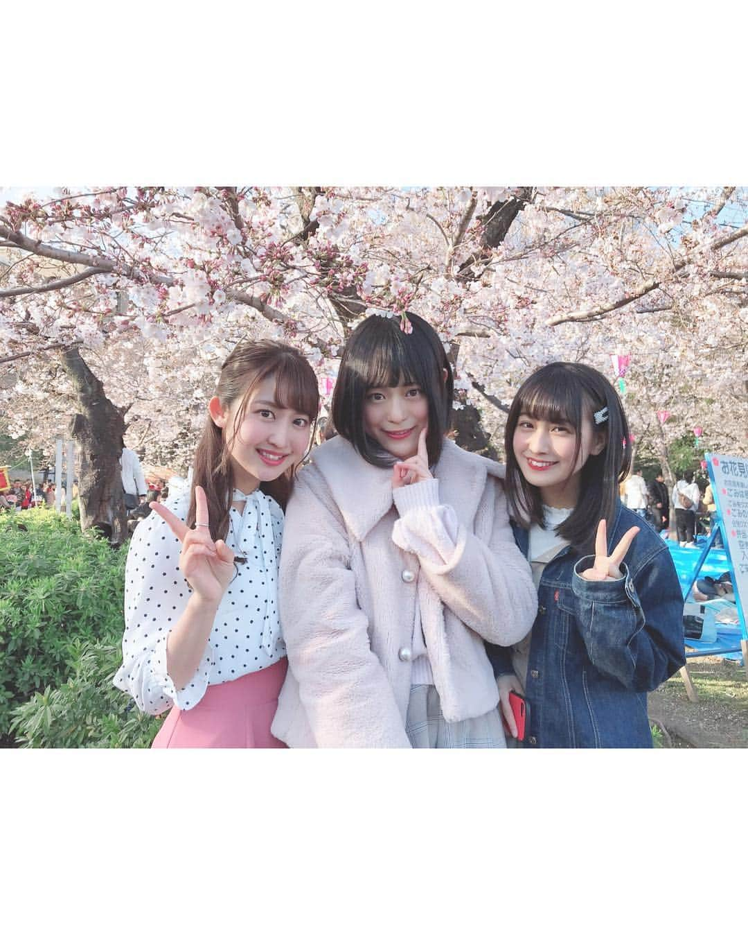 沢井里奈さんのインスタグラム写真 - (沢井里奈Instagram)「♡ . お花見してきました🌸🍡✨ . 数日でこんなに咲くんだってくらい 前回よりも咲いててびっくり😳❤️ とっても綺麗でした☺️💓💓 . あやね🧡ゆめふぃ💛と わいわい楽しかった😊💕💕 去年も一緒に行ったな〜👒🌼💕💕 . . #さわーコーデ 👗💝 clothes♡ #apuweiserriche . . #sakura #cherryblossom #tsurumapark #ootd #coordinate #fashion #instafashion #haiarrange #hairstyle #hair #instagood #instagramjapan #japanesegirl #お花見 #花見 #鶴舞公園 #私服 #ヘアアレンジ #ヘア #ハーフアップ」3月31日 22時41分 - sawairina