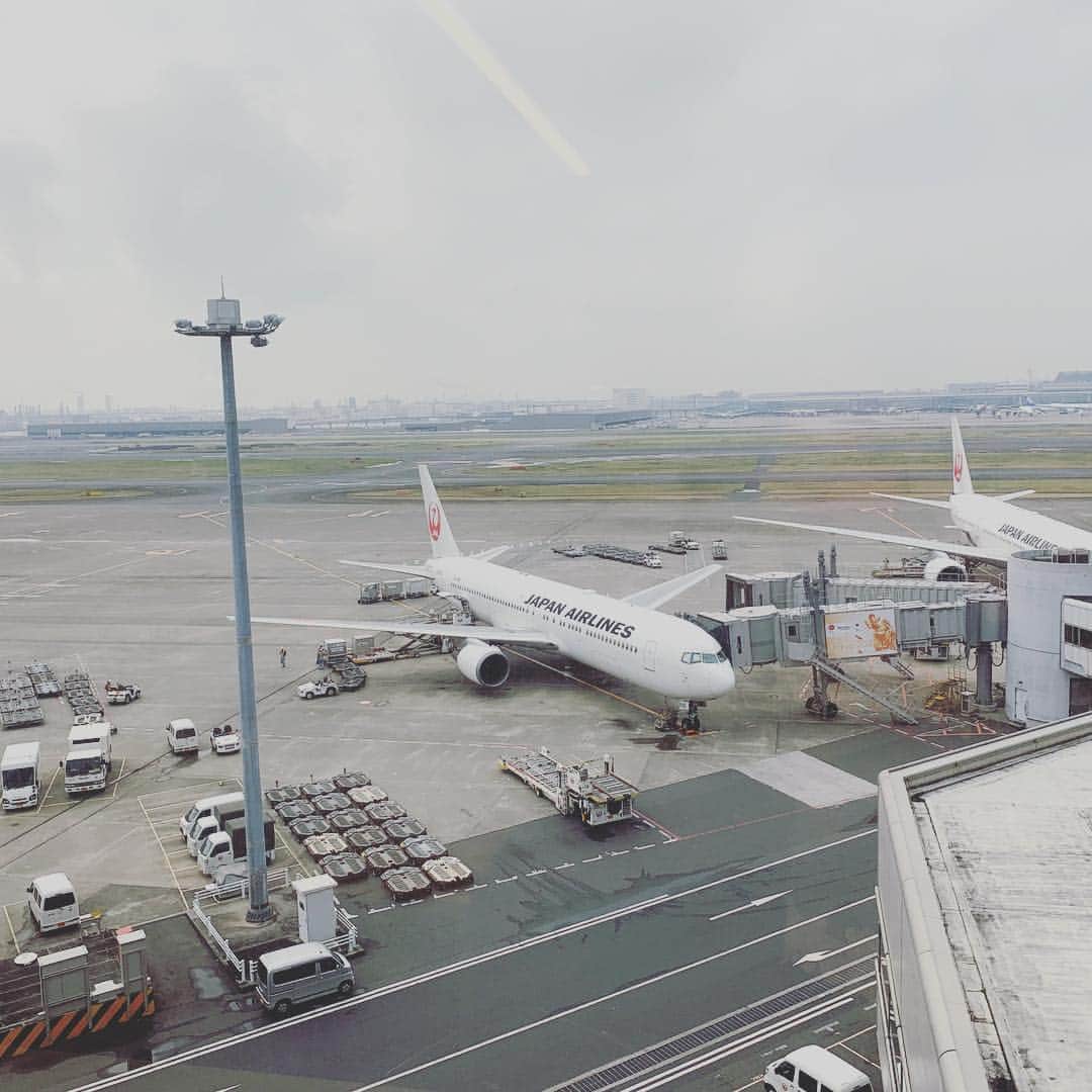 のインスタグラム：「羽田空港でのお仕事終わりで #北京 へ。」