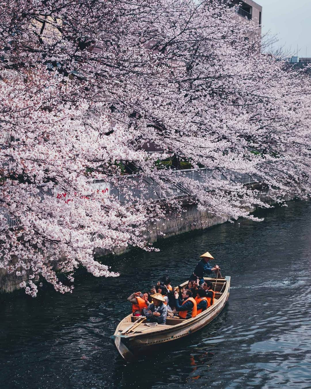 Takashi Yasuiさんのインスタグラム写真 - (Takashi YasuiInstagram)「Monzen-Nakacho, Tokyo (門前仲町)」3月31日 22時50分 - _tuck4