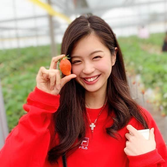 米山珠央さんのインスタグラム写真 - (米山珠央Instagram)「. 50個くらい食べました🍓🍓🍓 . #群馬 #旅行 #バスツアー #いちご狩り #やよいひめ  #いちご #strawberry #instagood #gunma」3月31日 22時54分 - tamao_17no1