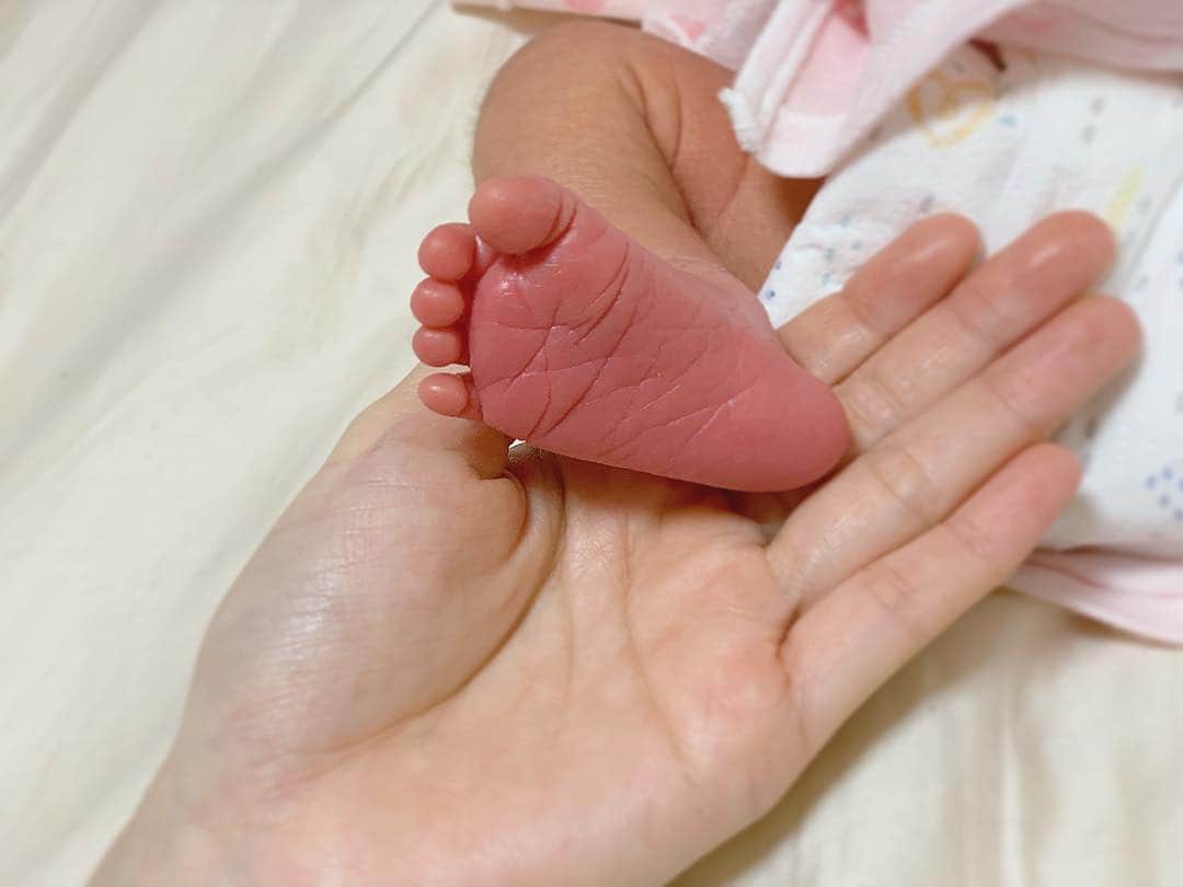 村瀬葵のインスタグラム：「・ 🌸ご報告🌸 ・ 2019.03.27  3156gの元気な女の子を出産しました💍 妊娠、出産は本当に奇跡の連続で 無事に産まれてきてくれた事に 心から感謝しています。  こんなにも可愛くて愛おしい子が 私たちの元へ来てくれて 幸せな気持ちでいっぱいです💗 ・ 退院までゆっくり身体を休めて 家族でこの子をちゃんと守っていけるように 新米ママ頑張るぞ〜！🤱💕 ・ #出産 #0327 #女の子 #ベビー #ママリ #新米ママ #女の子ママ #newborn #baby #mamari #happy #love」