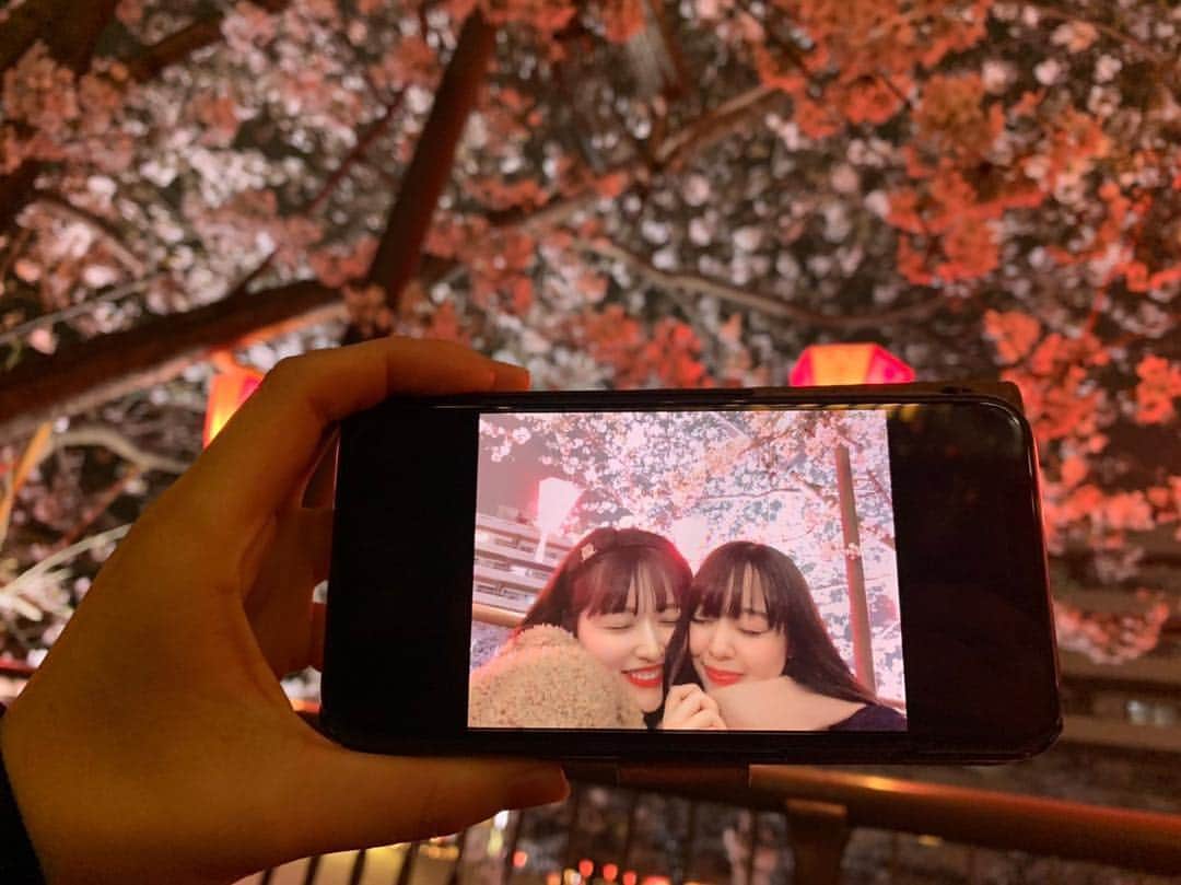 姫乃稜菜のインスタグラム：「2019年の桜も綺麗でした🌸  #目黒川#目黒川の桜 #目黒川桜まつり #夜桜」