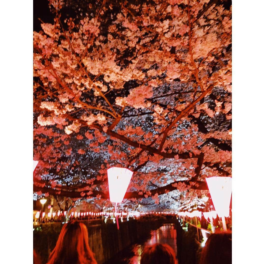 LISAさんのインスタグラム写真 - (LISAInstagram)「今年初のお花見🌸 お仕事帰りなので夜桜です🌓 ㅤㅤㅤ 食べることに夢中だったけど しっかり収めました🤳 ㅤㅤㅤ #EMODA #お花見 #夜桜 #中目黒 @emoda_official」3月31日 23時21分 - lisanaito