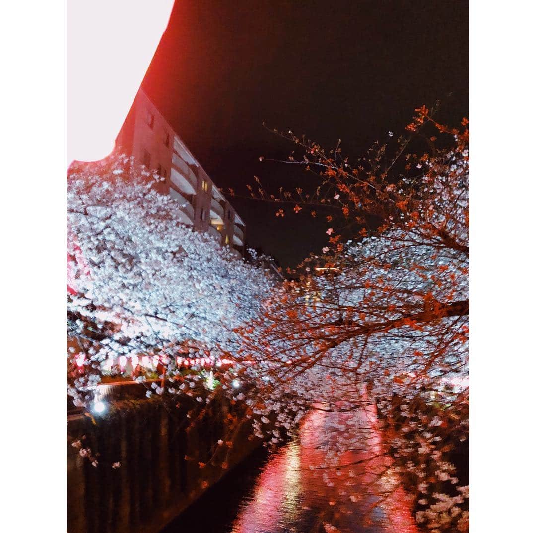 LISAさんのインスタグラム写真 - (LISAInstagram)「今年初のお花見🌸 お仕事帰りなので夜桜です🌓 ㅤㅤㅤ 食べることに夢中だったけど しっかり収めました🤳 ㅤㅤㅤ #EMODA #お花見 #夜桜 #中目黒 @emoda_official」3月31日 23時21分 - lisanaito