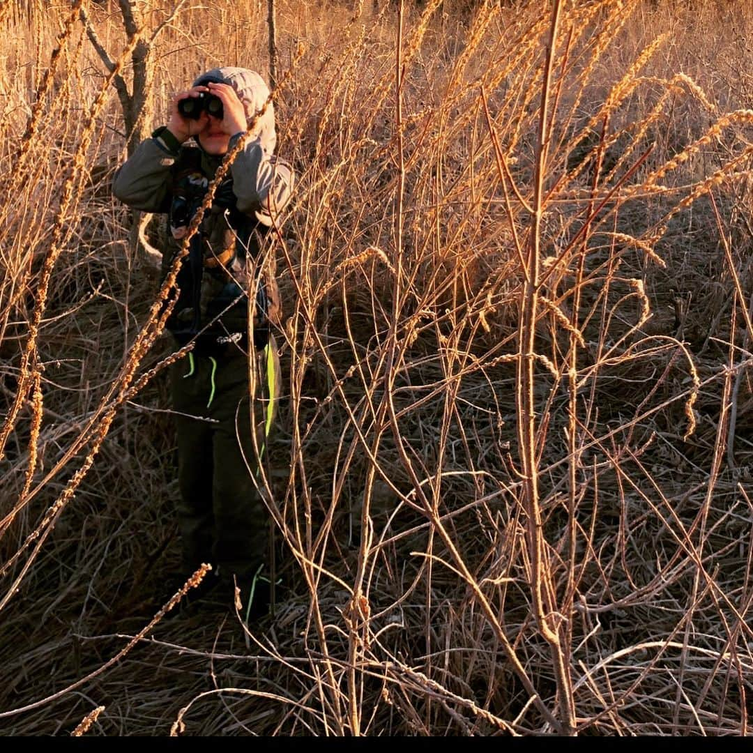 タック・ワトキンスさんのインスタグラム写真 - (タック・ワトキンスInstagram)「Wilbur Woodson, Boy Ornithologist, believes that bird watching, like stamp collecting, is a sport best enjoyed on one’s own.」3月31日 23時31分 - tucwatkins