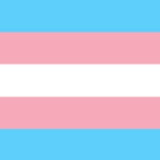 ヒラリー・クリントンさんのインスタグラム写真 - (ヒラリー・クリントンInstagram)「This is the Transgender Pride Flag, created by Monica Helms in 1999. "The stripes at the top and bottom are light blue, the traditional color for baby boys," she explained. "The stripes next to them are pink, the traditional color for baby girls. The stripe in the middle is white, for those who are intersex, transitioning or consider themselves having a neutral or undefined gender." On this Transgender Day of Visibility, let's affirm that we see, stand by, and celebrate our transgender friends, family members, and neighbors.」3月31日 23時34分 - hillaryclinton