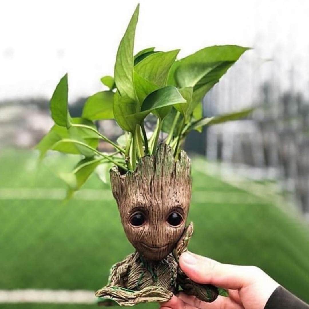 WildLifeのインスタグラム：「@plant28trees plant 28 Trees from each sale! Get this amazing Baby Groot Flower Pot! 🌲🌳🌴🌿🍃Link in @plant28trees’s bio! Www.28trees.org」