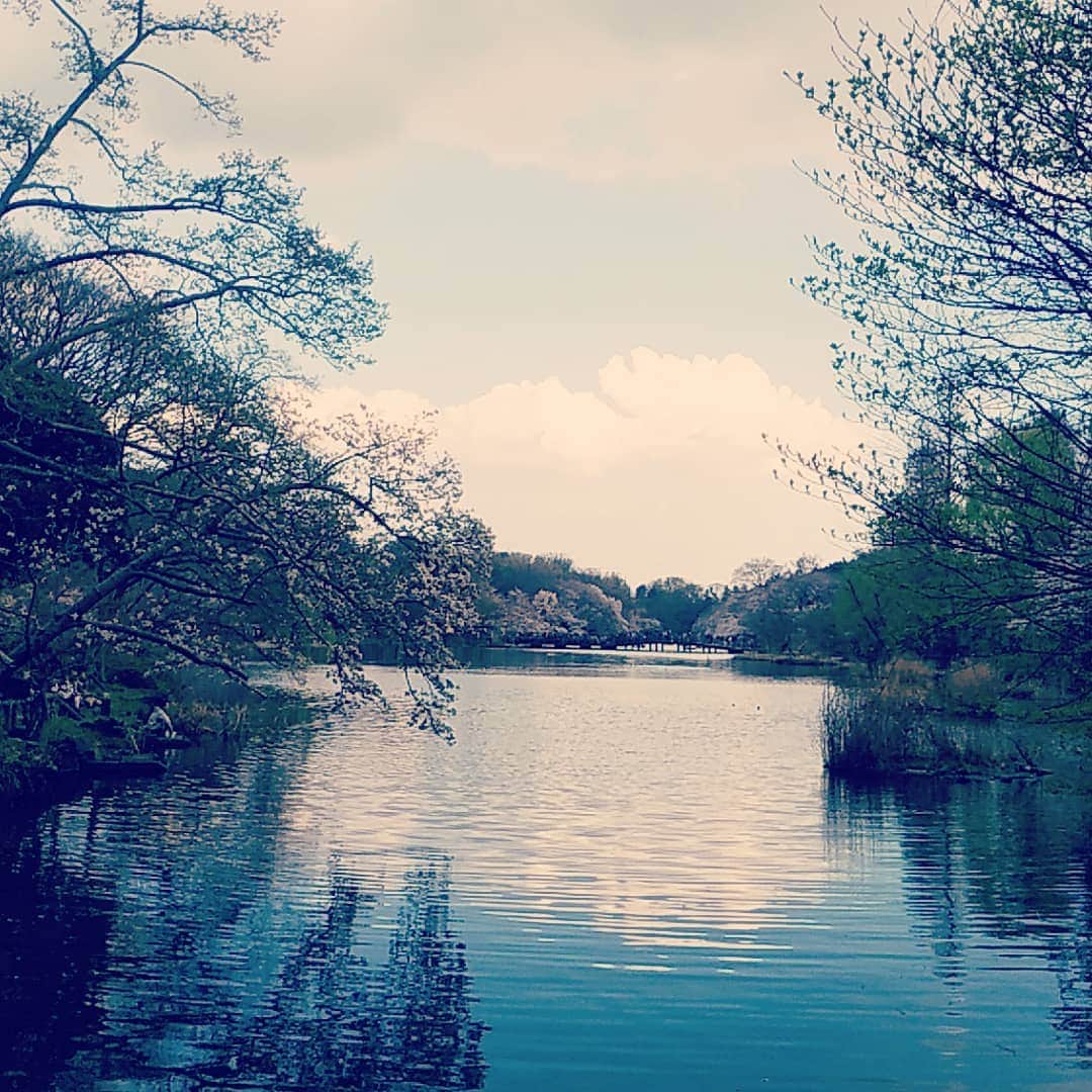 宮田愛子さんのインスタグラム写真 - (宮田愛子Instagram)「満開まではもう一息🌸  #花見日和 #shorttrip」3月31日 23時41分 - miyata.aiko