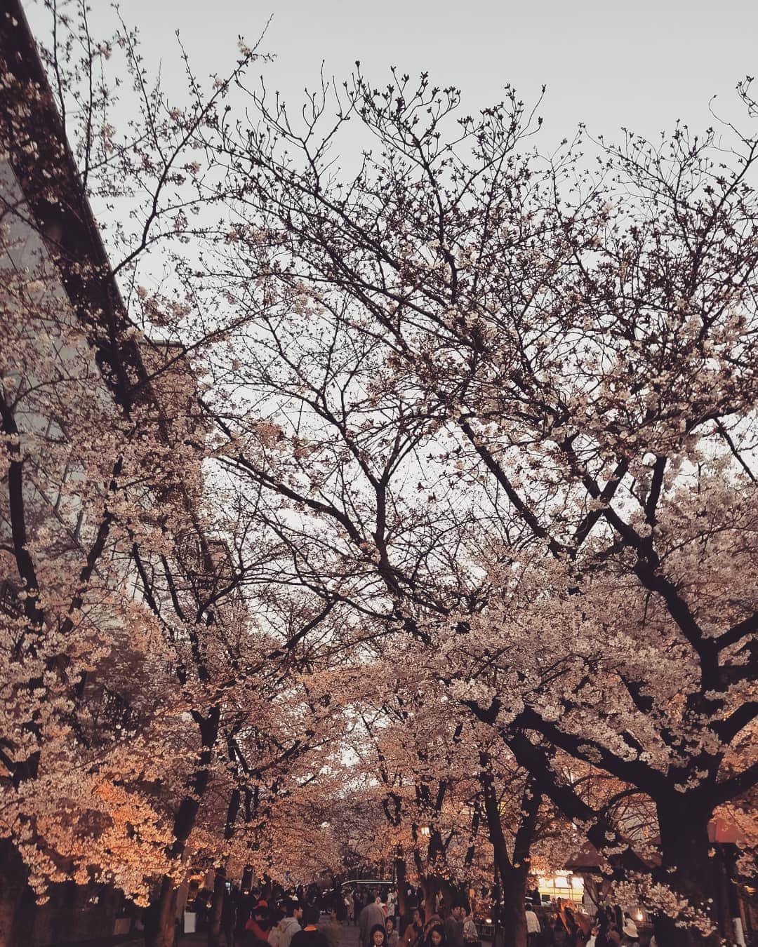 谷口キヨコのグルメインスタ