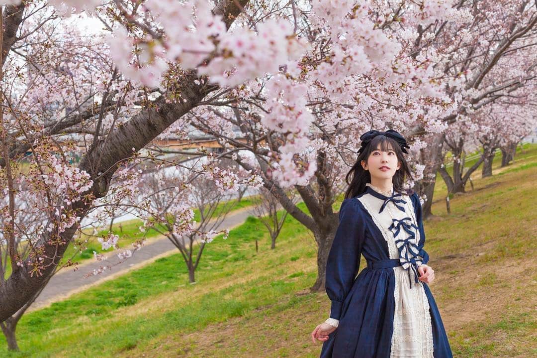 渚のインスタグラム：「‪念願の桜撮影🌸‬ ‪まだ5分咲きでしたが、とても綺麗でした☺️💕‬ ‪photo:ジャックさん ‪OP:INNOCENT WORLD‬ ‪#桜 #桜撮影 #ポートレート #お花見 #portrait ‬#cherryblossom #instagood #lolita #classiclolita #innocentworld」