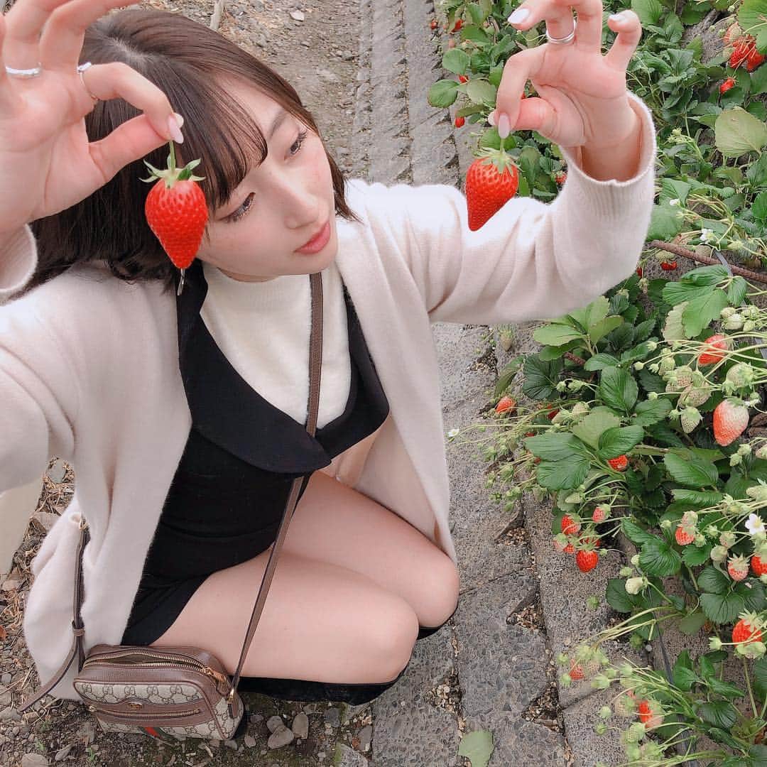 葉月さんのインスタグラム写真 - (葉月Instagram)「ㅤㅤㅤㅤㅤㅤㅤㅤㅤㅤㅤㅤㅤ ▽2019.03.19. いちごがり。たのしかった。 たのしくて半目にもなった。 そういう妖怪かな？くらい食べた😾」4月1日 0時14分 - hazu1121