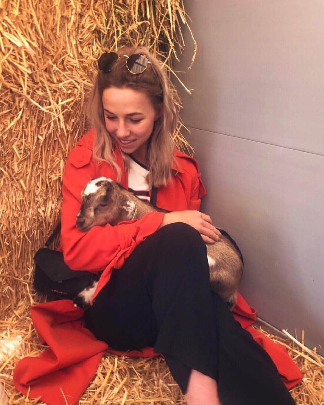 ジャッキー・グローネンのインスタグラム：「Forward with the goat 🇳🇱」