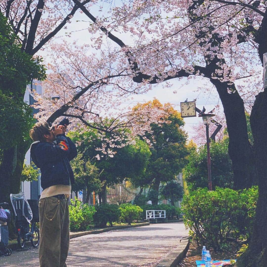 財部亮治さんのインスタグラム写真 - (財部亮治Instagram)「花見でした。桜綺麗。 #sakura #桜 #cherryblossoms #花見 #camera #tokyoportrait #sony #sonya7iii #japan #日本」4月1日 0時23分 - ryojitakarabe