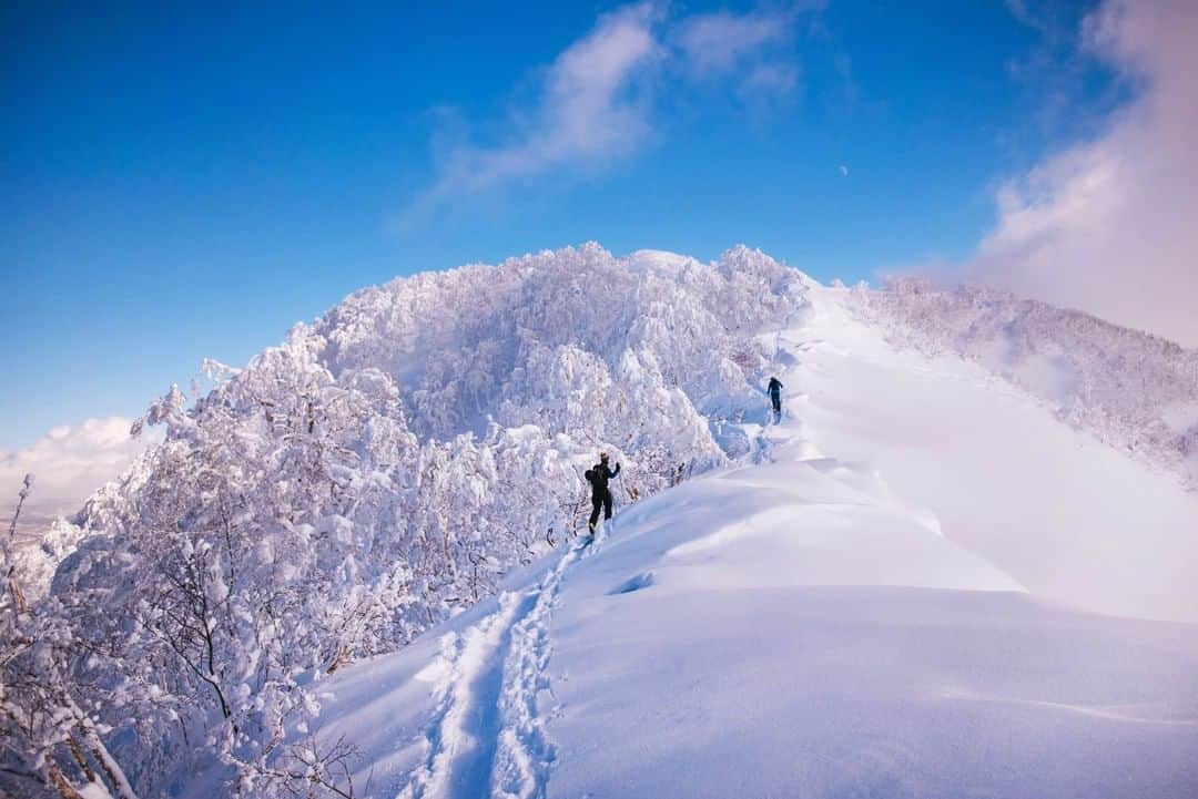 National Geographic Travelさんのインスタグラム写真 - (National Geographic TravelInstagram)「Photo by @max.lowe | The moon slowly rose over Mt. Shiribetsu as the landscape of veiled white ghostly snow covered trees softened under late afternoon light. Mountains are a place of respite and solitude during any time of the year, but to ski into the mountains under a deep winter is a whole different kind of solitude that I haven't ever found elsewhere. Taken while skiing in Hokaido, Japan. To see more from his winter adventures follow @max.lowe」4月1日 1時03分 - natgeotravel
