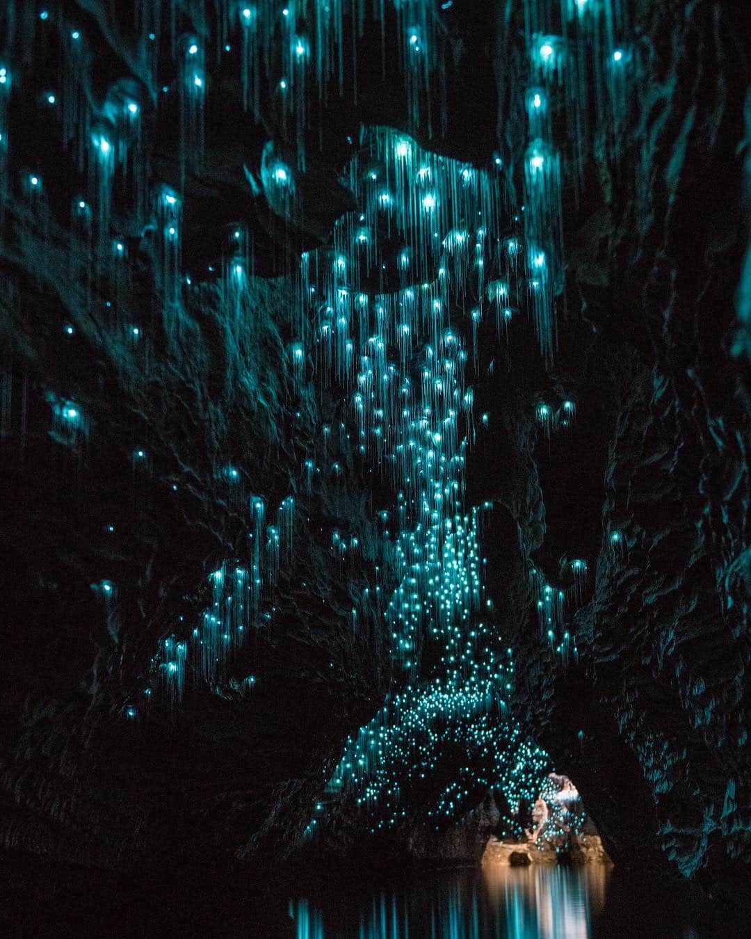 階上実穂さんのインスタグラム写真 - (階上実穂Instagram)「真っ暗な洞窟を進んでいくと突如、幻想的な光がキラキラ◡̈⃝⋆*✩ 4枚目がこの光の正体なんだけど見た目以上にキレイですごい感動した🥺✨✨ #nz旅行 #洞窟探検 #土ボタル #キラキラ #天の川みたい #感動 #映え」4月1日 1時17分 - miho_ishigami
