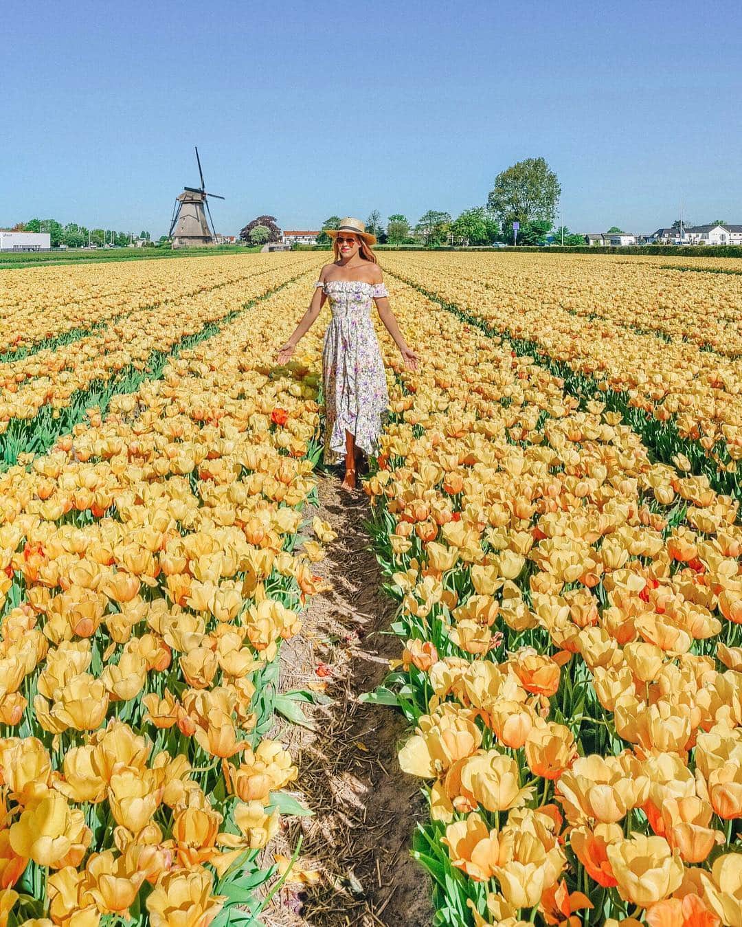 Izkizのインスタグラム：「Frolicking in Holland’s fields of gold 💛 #Spring」
