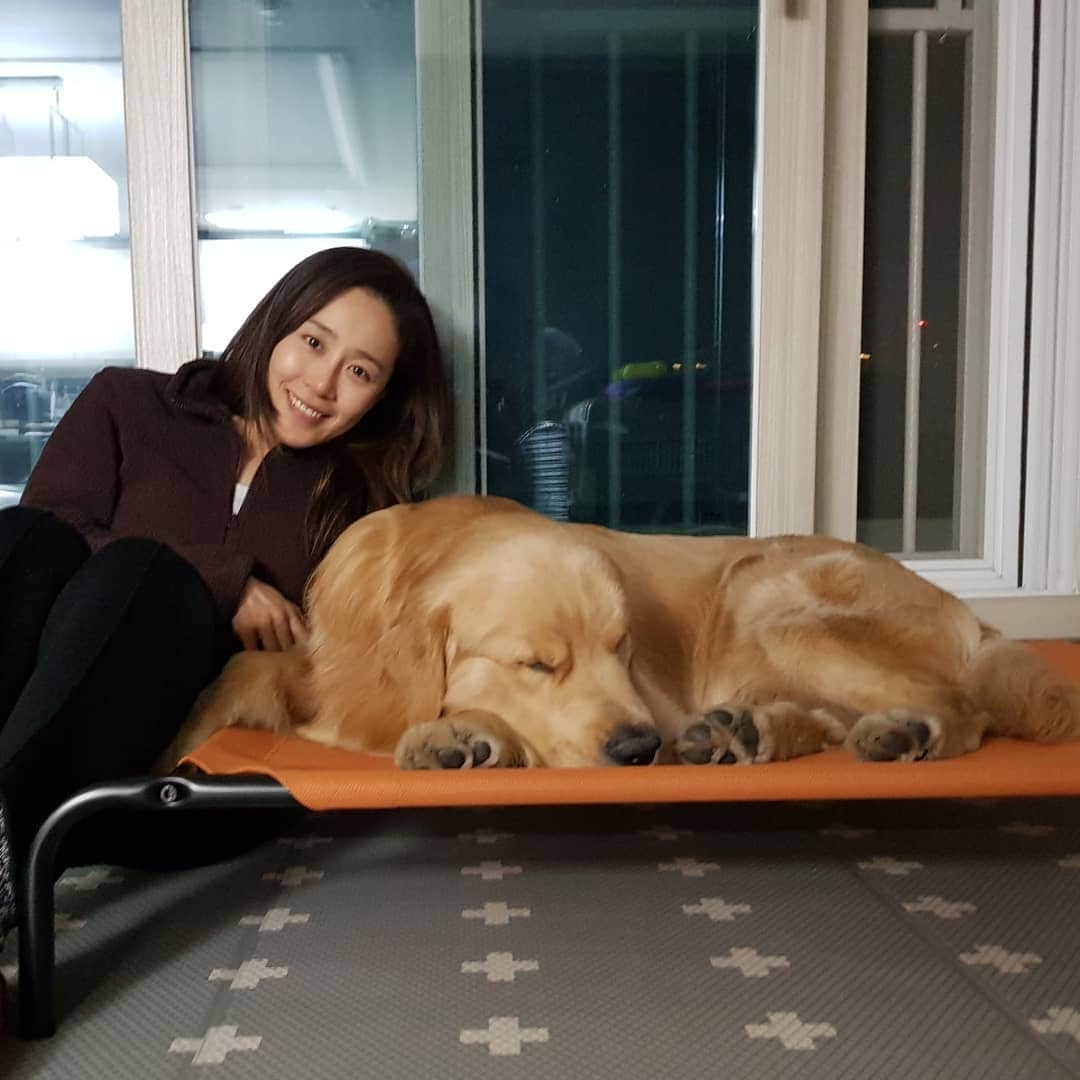 ムン・ジョンヒさんのインスタグラム写真 - (ムン・ジョンヒInstagram)「#마누manu #새침대 #적응완료 #여름대비 #실은아직겨울 #더위타는아이 #시원하냐 마누 여름용침대 완성 #조립은아빠」4月1日 13時56分 - jeonghee_moon