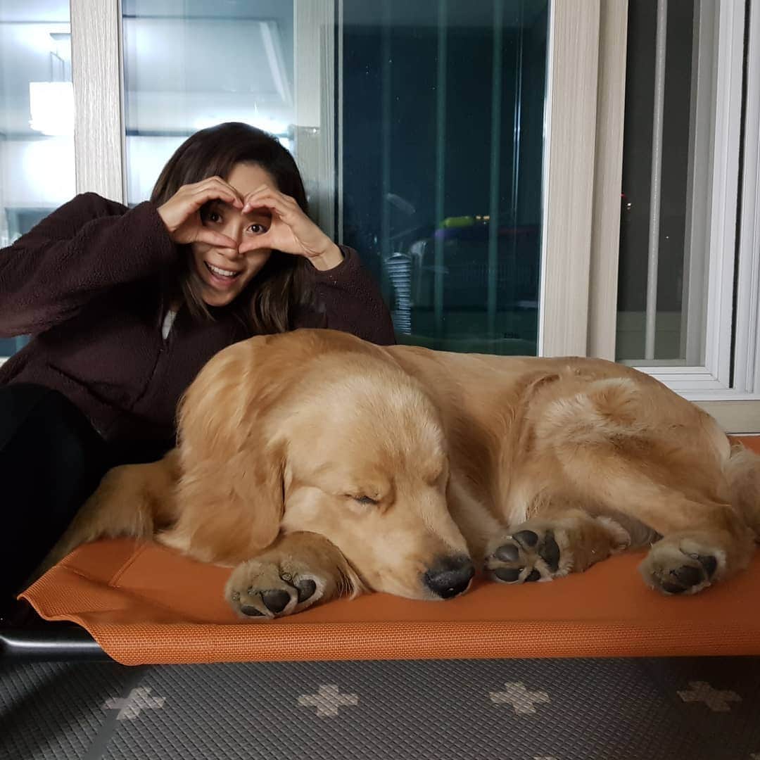 ムン・ジョンヒさんのインスタグラム写真 - (ムン・ジョンヒInstagram)「#마누manu #새침대 #적응완료 #여름대비 #실은아직겨울 #더위타는아이 #시원하냐 마누 여름용침대 완성 #조립은아빠」4月1日 13時56分 - jeonghee_moon