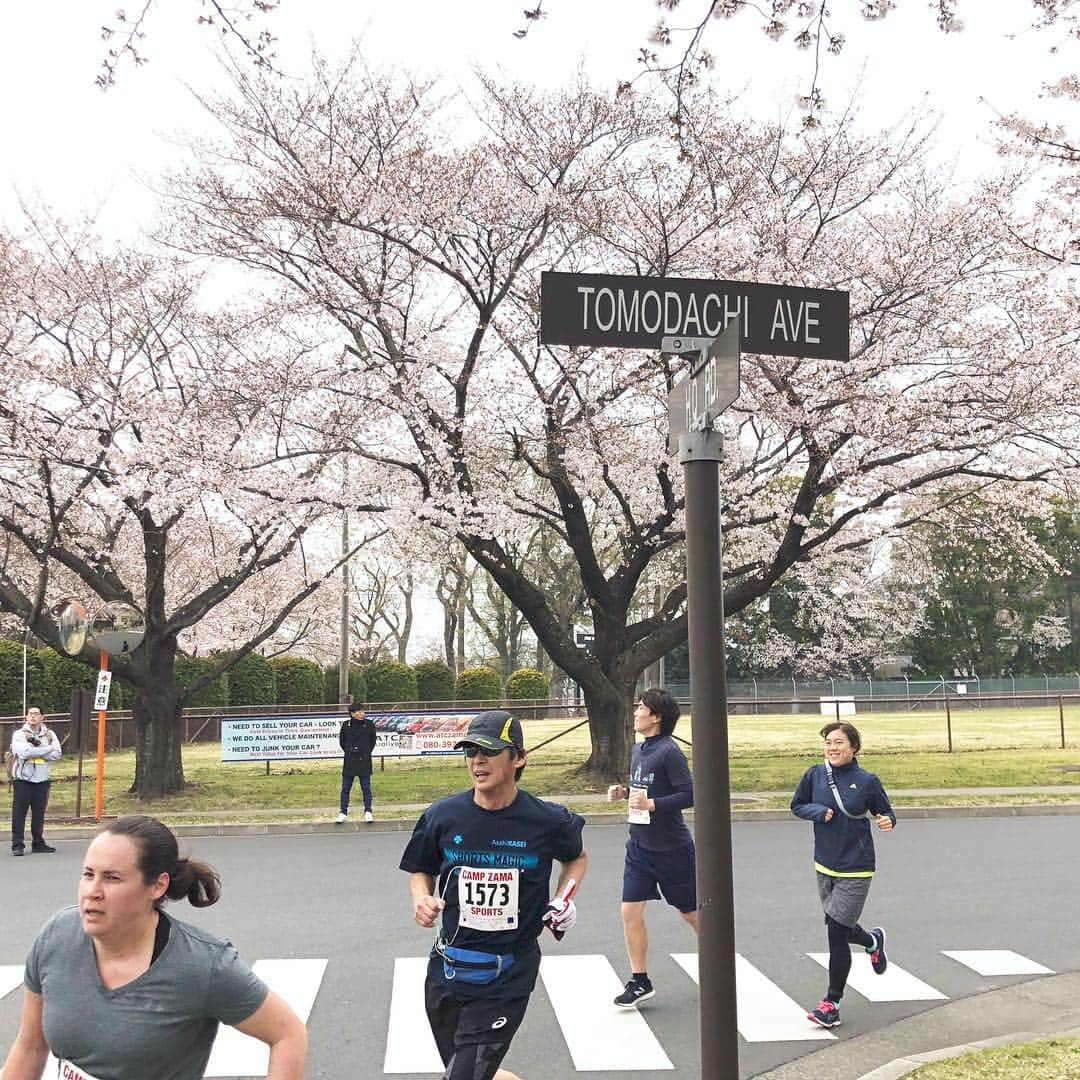 run+さんのインスタグラム写真 - (run+Instagram)「【座間桜まつり2019】 米軍基地ならではのアメリカンな感じが堪らなく楽しくて🍗楽しくて🍔 そして満開の桜の下駆ける楽しさ🌸🏃‍♀️ 今回、とーっても写真撮ったのでpic7は動画です🔈 ・ 約7㎞＆アップダウン→5Kmフラットコースに大幅チェンジのあった今回。 全力での5㎞走のほうが…キツくない？ 自分なりに頑張ったけど、順位変動なく昨年同様の5位 数字で見れば順位に変動はないんだけどそれでも頑張ったというか。。。 ランニングでは #現状維持は衰退ではない と私は思う😭 …ごめんなさい、甘いですかww また来年がんばりまーす！！ ・ それでも、今回もラン友の夕紀さんと会えたり、走った後にはアメリカンな屋台がたーくさん待っててくれるから、やっぱりこの大会が好き♡ 今回は桜の時期もパーフェクトに桜の下でお花見ランチ。 お花見ランチの後は屋台を見たり、座間基地をお散歩して満喫✨ ・ #走った後のご褒美 はやっぱり #肉 #座間キャンプ #キャンプ座間 #campzama #桜まつり #桜マラソン ・ #花見ラン #花見RUN #桜ラン  #花見  #桜 ・ #走れるって幸せ #ランニング #ジョギング #RUN #ラン ・ #ガーミン #ナイキプラス #ファンラン #ゆるラン #ハシリマスタグラム #ハシリマシタグラム #走るひと #ランスタグラム #ランニケーション ・ #Runday #RunLovesLife」4月1日 13時58分 - runplus