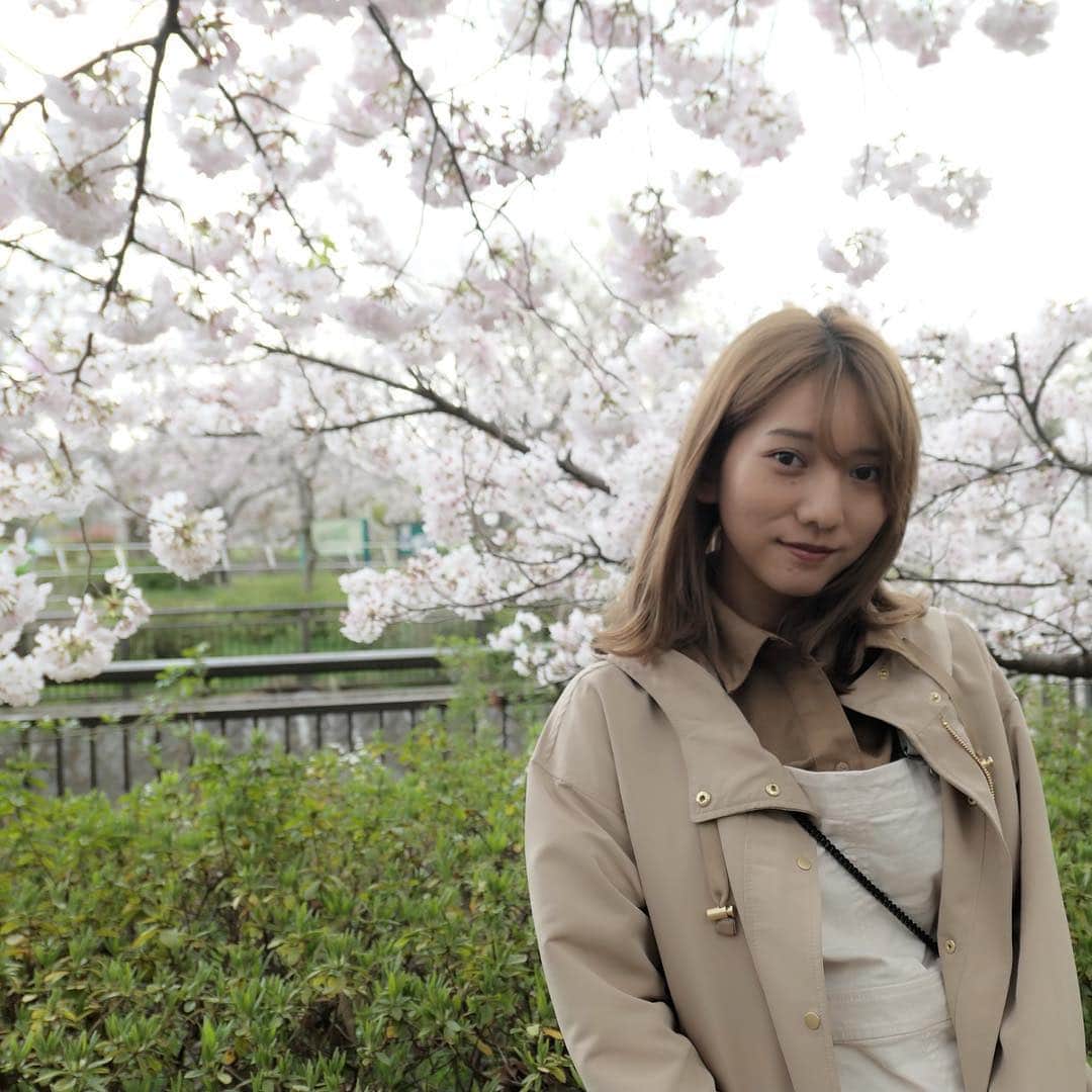 高城亜樹さんのインスタグラム写真 - (高城亜樹Instagram)「. 今年はお花見行けないかな？ って思ってたけど お母さんと妹と一緒に行けました🌸 簡単にちらし寿司おにぎりと 家にあった食材を詰めて🍱 桜の下で食べるランチ 美味しかった❤️ . #お花見 #cherryblossom」4月1日 14時08分 - akiii_takajo