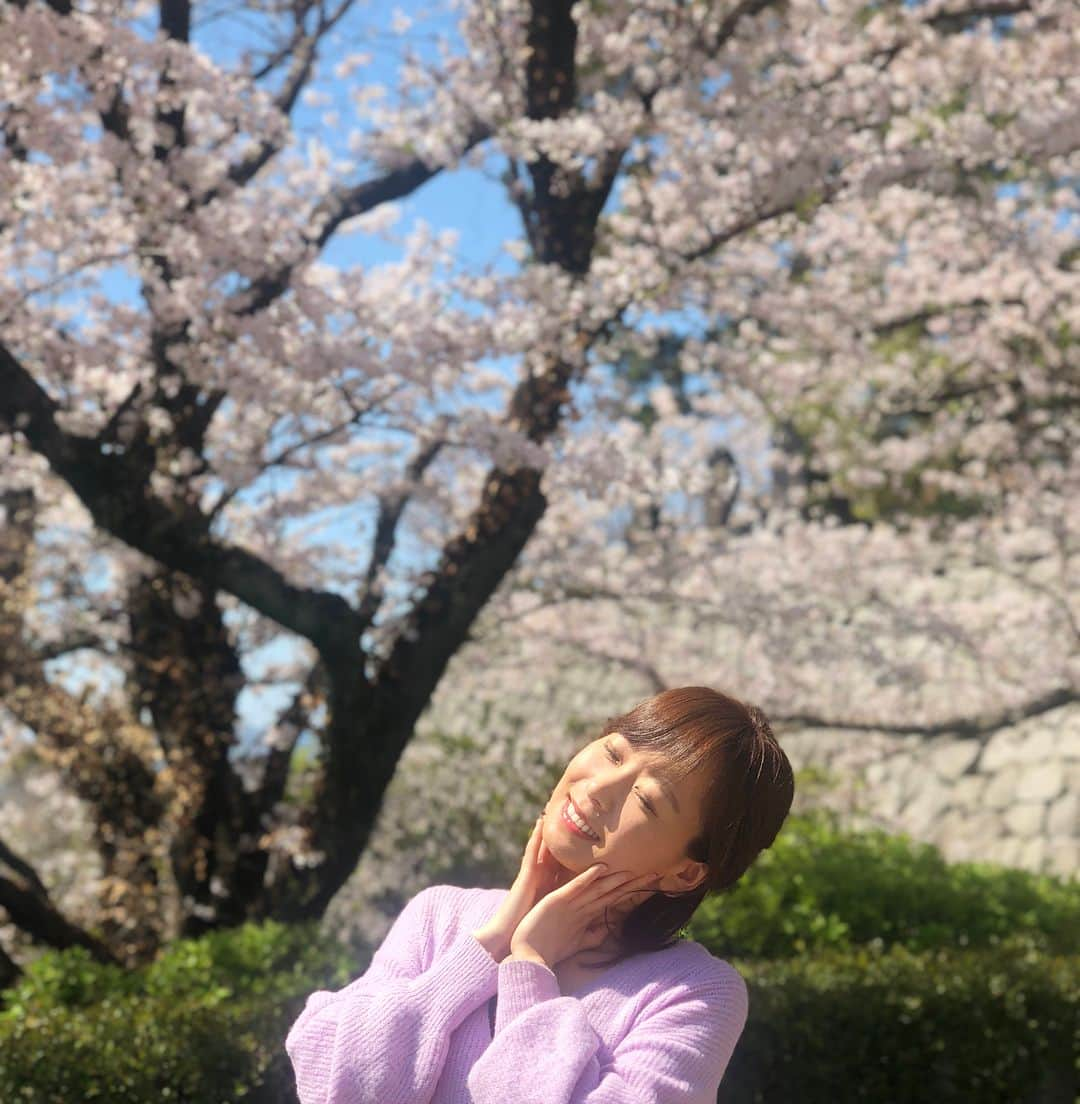 菊池良子さんのインスタグラム写真 - (菊池良子Instagram)「新年度スタート🌸  今年度もよろしくお願いします🤗  福岡県久留米市にある篠山城跡の桜🌸満開でした^_^  少し風が冷たいので花冷えしないように😷  #桜 #お花見 #新年度 #観光 #久留米市 #篠山城 #篠山城跡 #撮影母 #満開 #きれい #加工なし  ストーリーに動画up🌸」4月1日 14時07分 - kikuryo627happy