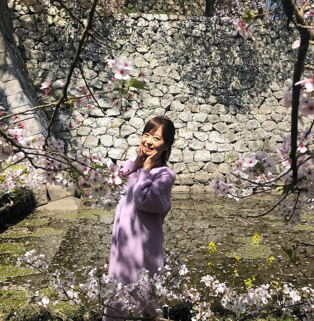 菊池良子さんのインスタグラム写真 - (菊池良子Instagram)「新年度スタート🌸  今年度もよろしくお願いします🤗  福岡県久留米市にある篠山城跡の桜🌸満開でした^_^  少し風が冷たいので花冷えしないように😷  #桜 #お花見 #新年度 #観光 #久留米市 #篠山城 #篠山城跡 #撮影母 #満開 #きれい #加工なし  ストーリーに動画up🌸」4月1日 14時07分 - kikuryo627happy