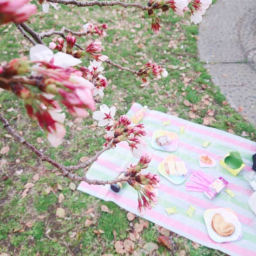 BEAUPOWER【公式】さんのインスタグラム写真 - (BEAUPOWER【公式】Instagram)「【 #平成最後の × #お花見 】 今日から4月🌸 新元号も発表され新しい一年がやってくる感じで気持ちが引き締まりますね( ≧∀≦) * 桜が見頃を迎えていたので ピクニックに行って来ました♪ あなたのお気に入りの写真は何枚目ですか？(スライドしてね) * * ①ピクニック感満載でパンが美味しそうな１枚目😋🍴 ②よく見るとアサイーゼリーが！色合いが素敵な２枚目🌸💜 ③太陽に負けない！サプリの金メダルが光輝く３枚目☀️🥇 * #4月 #平成 #新元号 #令和 #桜 #SAKURA #春がきた #ピクニック #picnic #お出かけ日和 #パン #クロワッサン #サンドイッチ #ハート #美味しそう #お気に入り #太陽 #金メダル #美容と健康 #美容ゼリー #プラセンタゼリー #美容サプリ #プラセンタサプリ #プラセンタ #インナーケア #ビューパワー #BEAUPOWER #常盤薬品工業」4月1日 14時06分 - beaupower_jp
