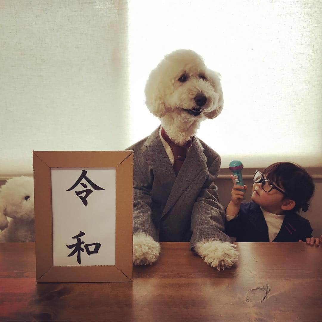 たまねぎさんのインスタグラム写真 - (たまねぎInstagram)「. . 新しい元号決まりましたね！ . 七三分けで会見 . 平和で穏やかな時代となりますように！！ . Japan's new era "Reiwa" . . #standardpoodle #dog #lovedogs #poodlesofinstagram #スタンダードプードル #大型犬と子供 #poodle #dogstagram #east_dog_japan #いぬのいる生活 #もふもふ部 #わんこ部 #子どもと犬 #kidsanddog #ママリ #キズナ #コドモノ #いこーよ #いぬのきもち #犬と暮らす #いぬなしでは生きていけません #新元号 #令和 #newera #菅官房長官 #七三分け #映画ペット2キャンペーン」4月1日 14時16分 - tamanegi.qoo.riku