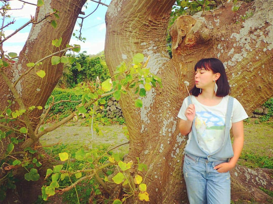 三谷晶子さんのインスタグラム写真 - (三谷晶子Instagram)「スーパースターこころちゃん、何着せても似合う……。 #amami」4月1日 14時26分 - akikomitani