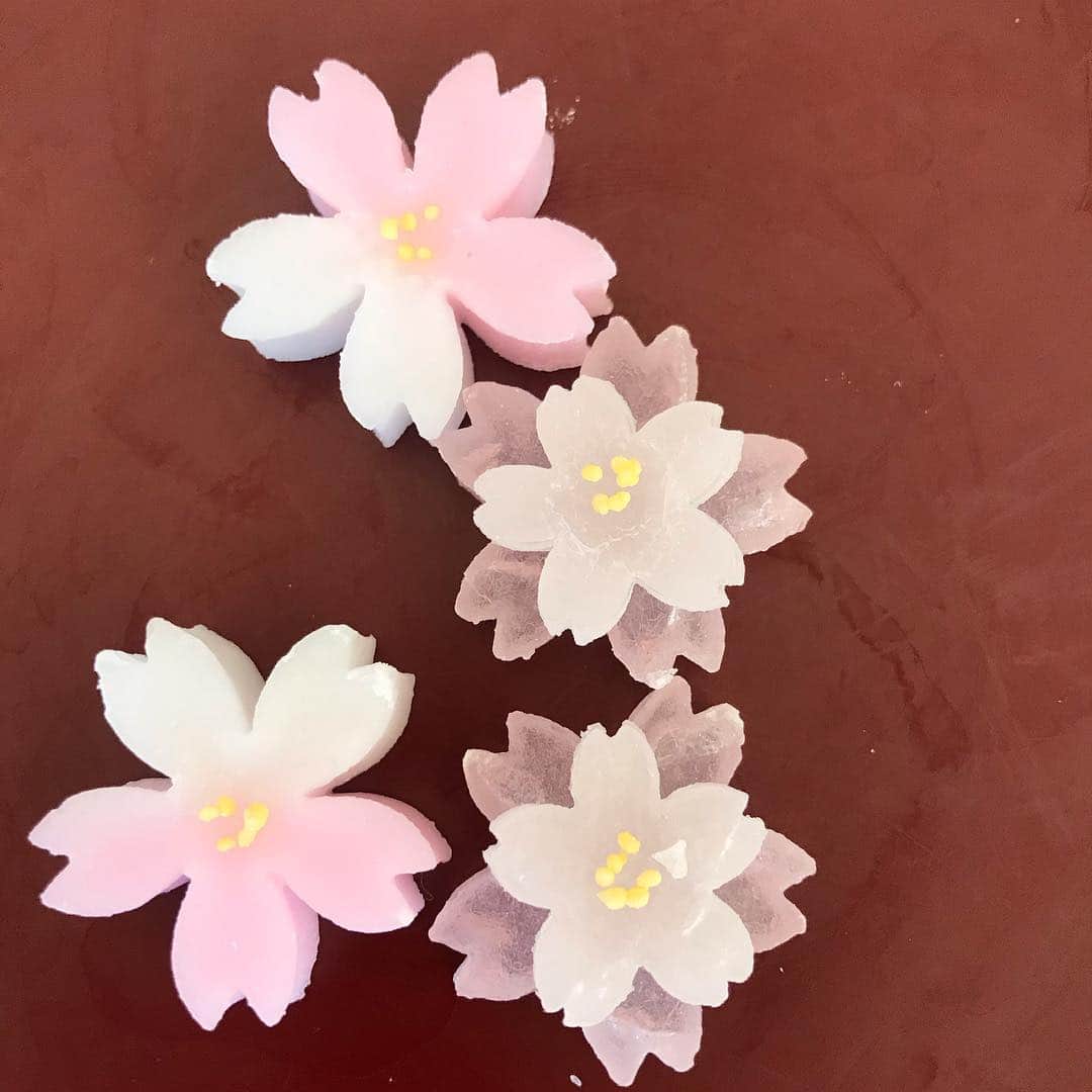 eclat.magazineさんのインスタグラム写真 - (eclat.magazineInstagram)「大人のお花見に欠かせない、 ロゼシャンパーニュ。  本日発売5月号では、 「和の花でおもてなし」を特集。  その中でご紹介した 吉野桜とロゼのマリアージュ。 「ビルカールサルモン」は、 ロゼシャンパーニュの中でも  薄い綺麗なサーモンピンクで、 桜を邪魔しません。  デザートは赤坂塩野の お干菓子をどうぞ。 (編集W)  #エクラ #シャンパーニュ #ビルカールサルモン #赤坂塩野  #桜 #お花見」4月1日 14時47分 - eclat.magazine