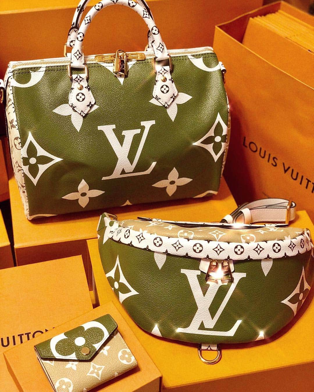 のインスタグラム：「So cuuuute!!! #LVgiant monogram 2019 collection is amazing!!!🤢💕 @louisvuitton @nicolasghesquiere #louisvuitton #giantmonogram #lvspeedy #louisvuittonspeedy #lvspeedyban30 #lvspeedy30  #louisvuittonbumbag #lvbumbag #louisvuittonwallet #lvwallet #lv #nicolasghesquiere #lvoe #lvss19  #louisvuitton2019 #lv19 #lvbag  #lvgiantmonogram #lvmonogram #louisvuittongiantmonogram」