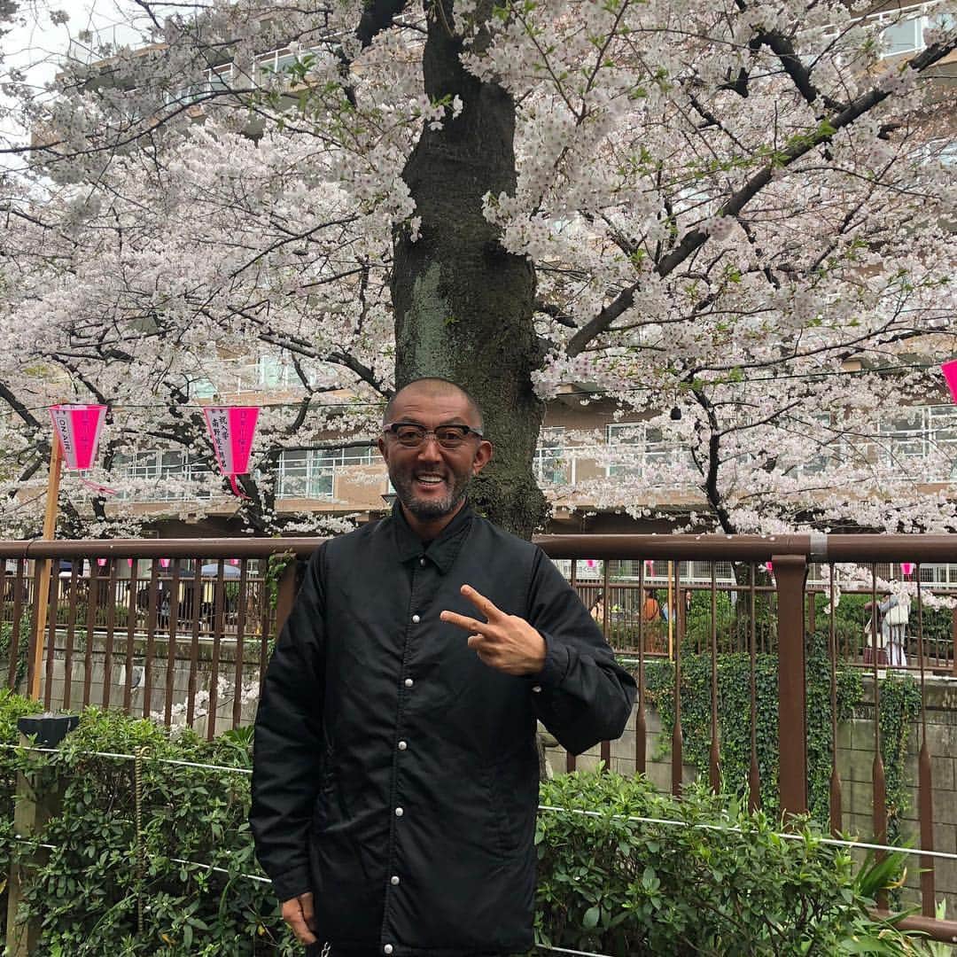 denham_japanさんのインスタグラム写真 - (denham_japanInstagram)「Nakameguro 🌸SAKURA🌸 #sakura #nakameguro @denhamthejeanmaker @denham_australia @denham_germany @denham_london @denham_uk @denham_belgium @denham_china @denham_kor #denham #fashion #selvedge #indigo #denhamjapan #denhamthejeanmaker #denhamstyle #denim #scissors #virgintovintage #デンハム #デンハムザジーンメーカー #デンハムジャパン #デニム#skinvjs#2年履き#二回洗い#セルヴィッチ  #ヴァージントゥヴィンテージ #経年変化 #ピープル #プロダクト #プレゼンテーション #デニムコーデ #ファッション @denham.sa @denham_utrecht  @denham_maastricht」4月1日 14時51分 - denham_japan_by_aki_negishi