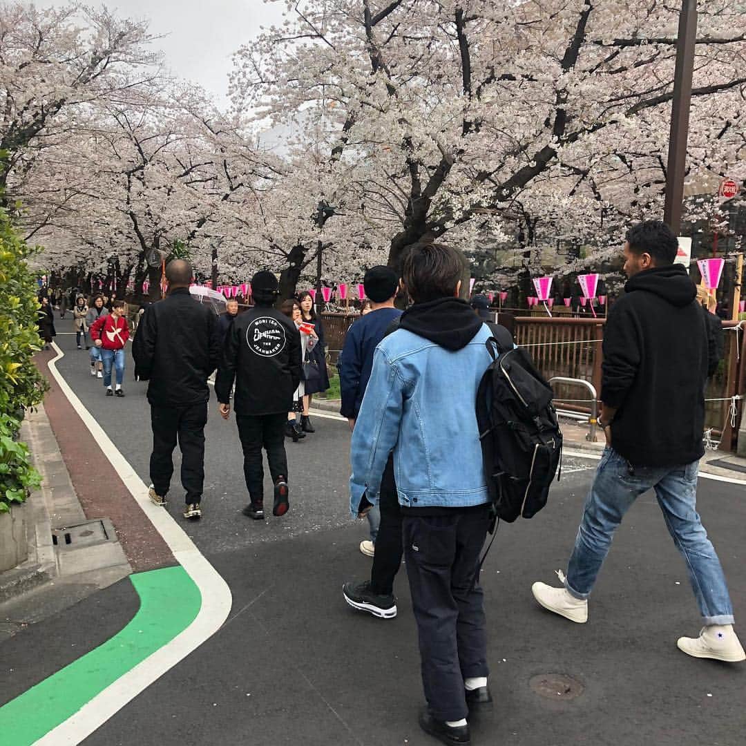 denham_japanさんのインスタグラム写真 - (denham_japanInstagram)「Nakameguro 🌸SAKURA🌸 #sakura #nakameguro @denhamthejeanmaker @denham_australia @denham_germany @denham_london @denham_uk @denham_belgium @denham_china @denham_kor #denham #fashion #selvedge #indigo #denhamjapan #denhamthejeanmaker #denhamstyle #denim #scissors #virgintovintage #デンハム #デンハムザジーンメーカー #デンハムジャパン #デニム#skinvjs#2年履き#二回洗い#セルヴィッチ  #ヴァージントゥヴィンテージ #経年変化 #ピープル #プロダクト #プレゼンテーション #デニムコーデ #ファッション @denham.sa @denham_utrecht  @denham_maastricht」4月1日 14時51分 - denham_japan_by_aki_negishi