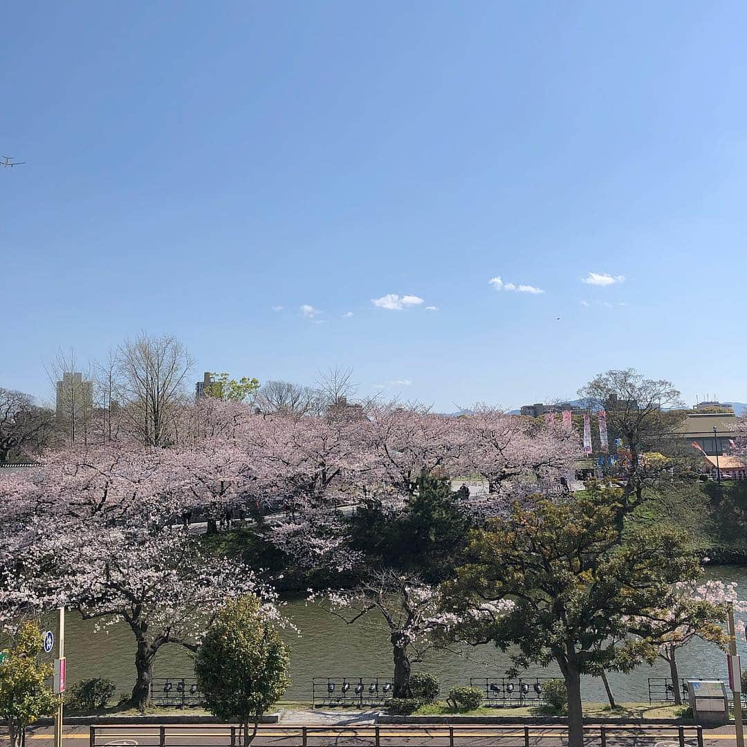 横山紗弓のインスタグラム