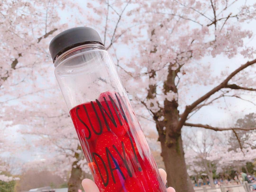 のインスタグラム：「くろねこやんころたんみなみちゃんでお花見🌸 イチゴをアマレットで煮たよ😋🍓 #お花見」